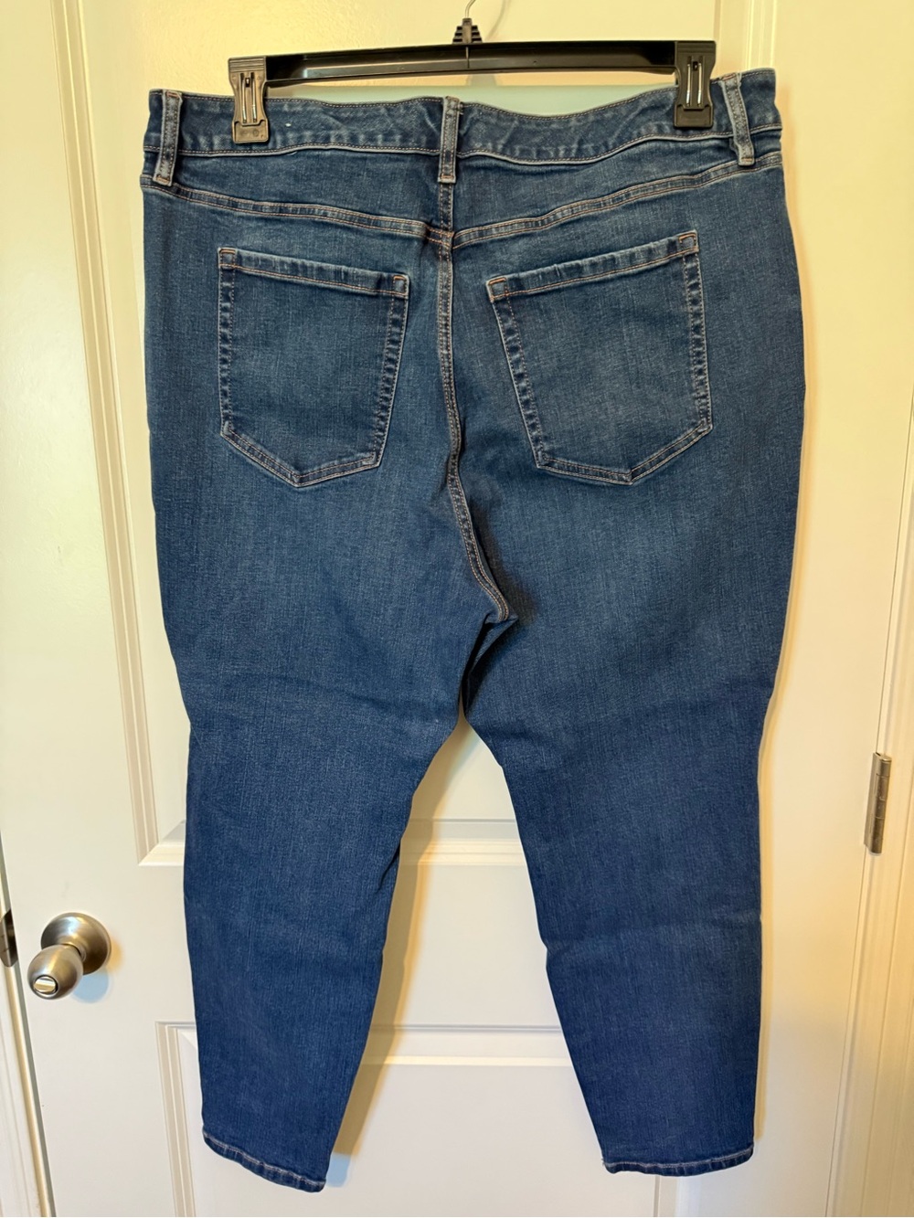 Lane Bryant Dark Wash Skinny Jeans